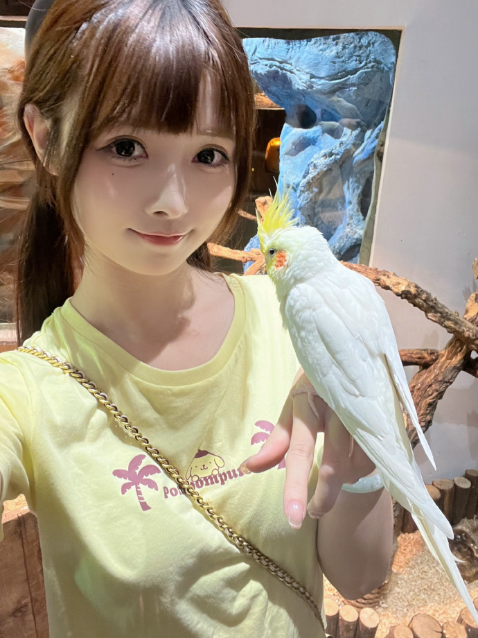 误杀3 封面